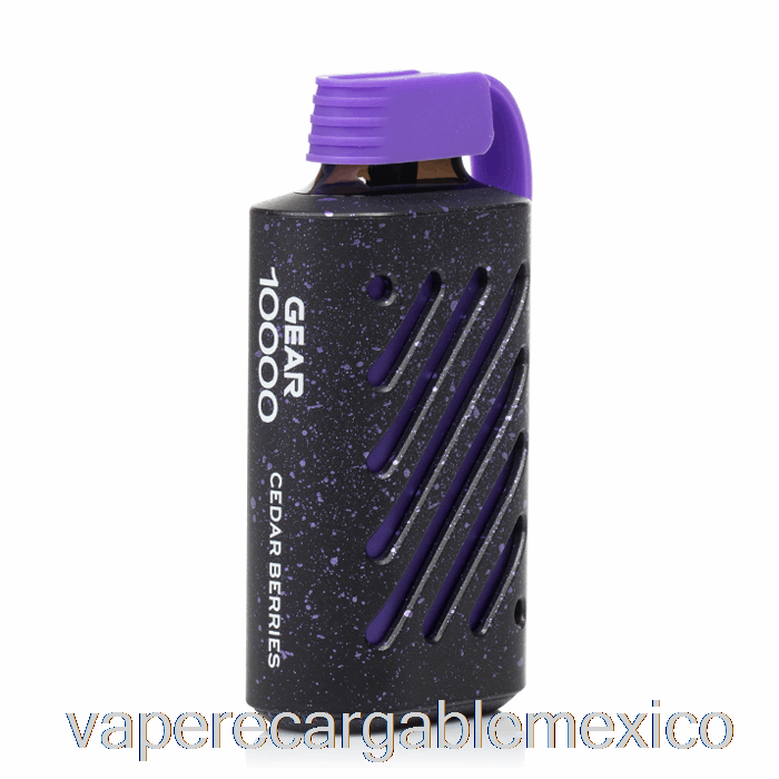 Vape Recargable Vozol Gear 10000 Bayas De Cedro Desechables